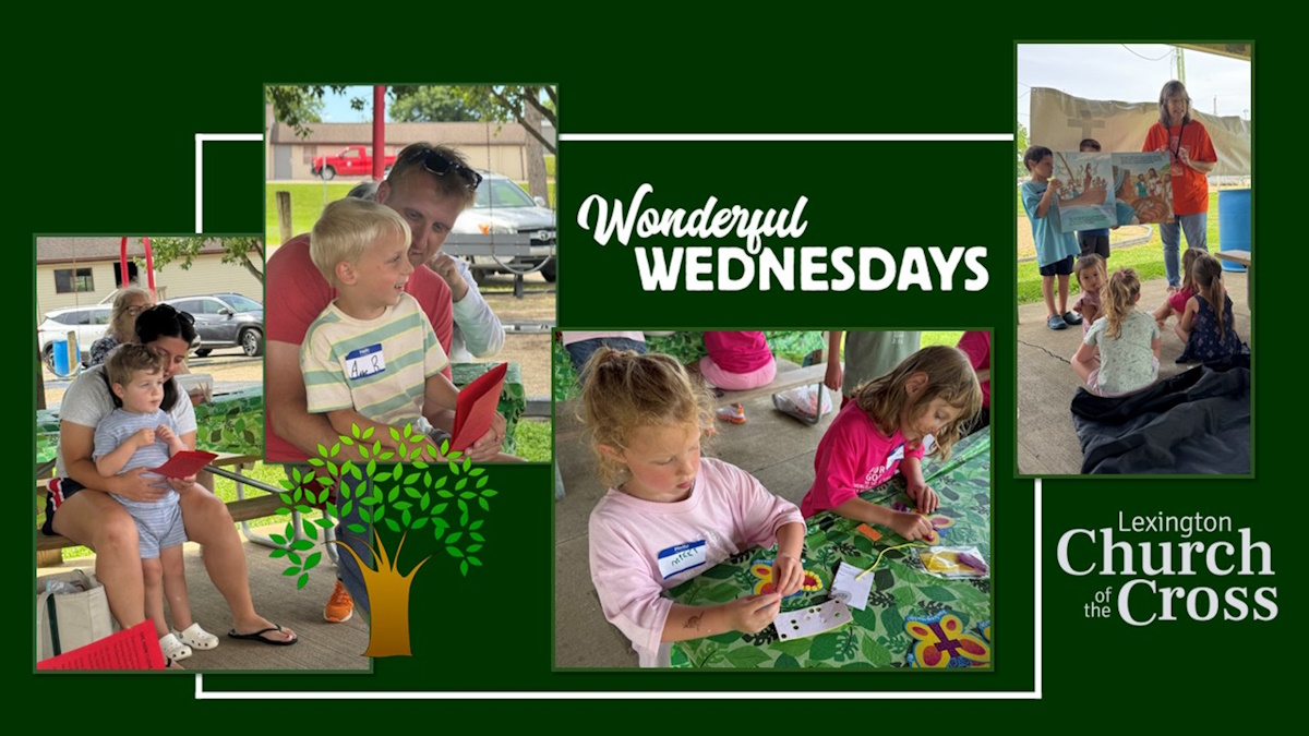 Wonderful_Wed_2026